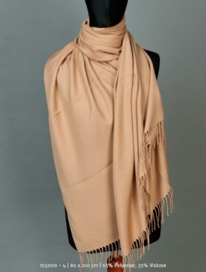  211 camel