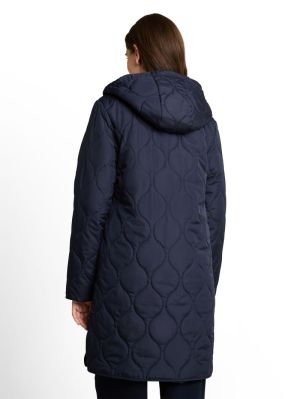  10668 sky capta