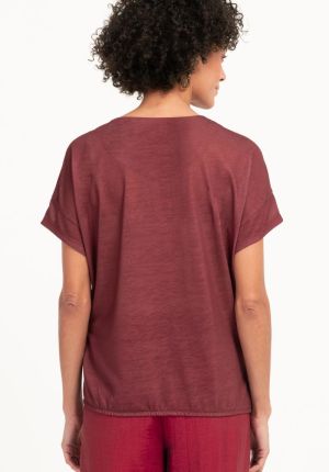  385 dark barolo