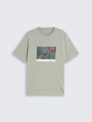  40582 iron mint